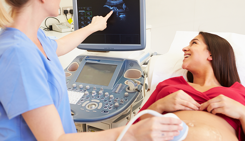 Fetal Heart Monitor