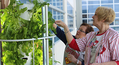 Tower Garden