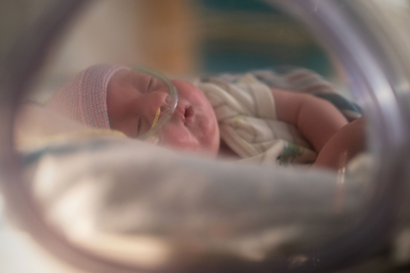 Baby In Nicu